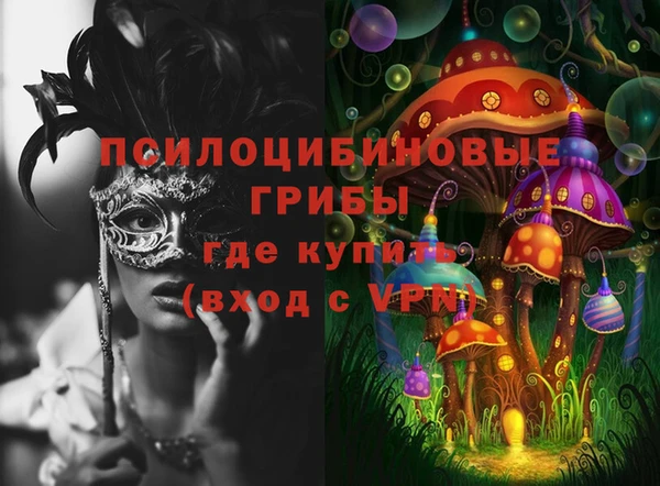спайс Аркадак