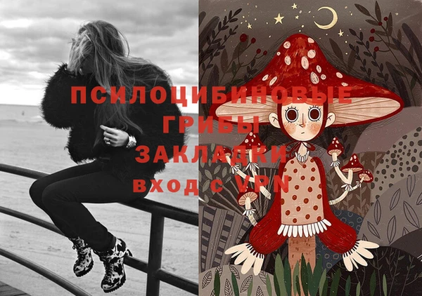 ECSTASY Алексин