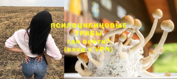 эйфоретик Алексеевка