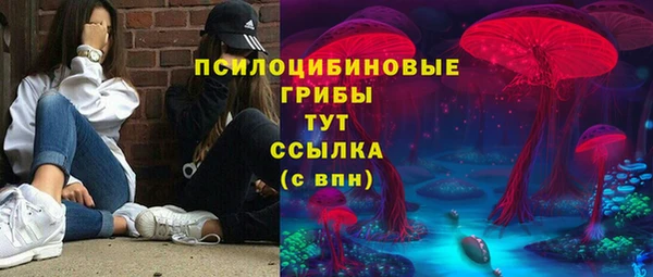 а пвп мука Алзамай
